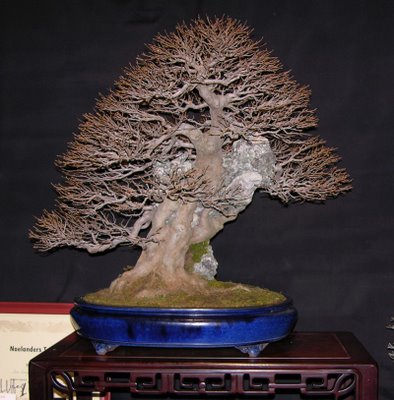 japanese bonsai scissors Bonsaify main image 0