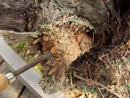 29-3-2009-085-web-hans-van-meer