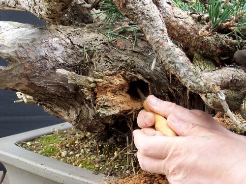 29-3-2009-091-web-hans-van-meer