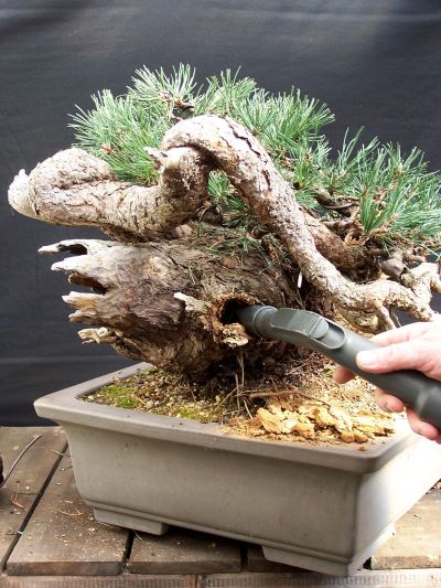 29-3-2009-103-web-hans-van-meer