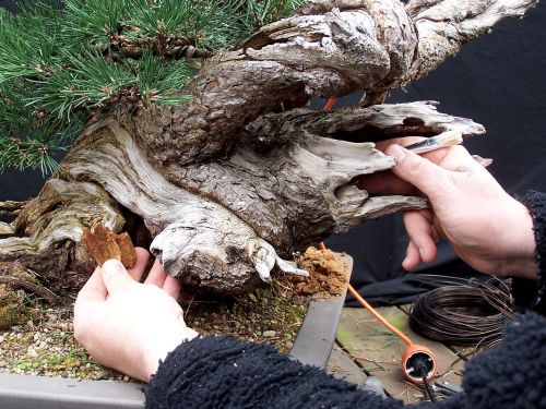 29-3-2009-113-web-hans-van-meer