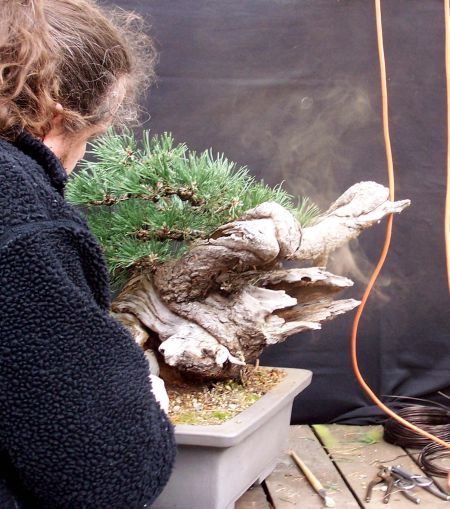 29-3-2009-156-web-hans-van-meer