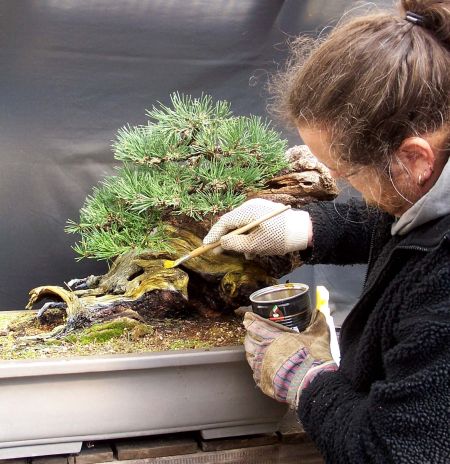 29-3-2009-172-web-hans-van-meer