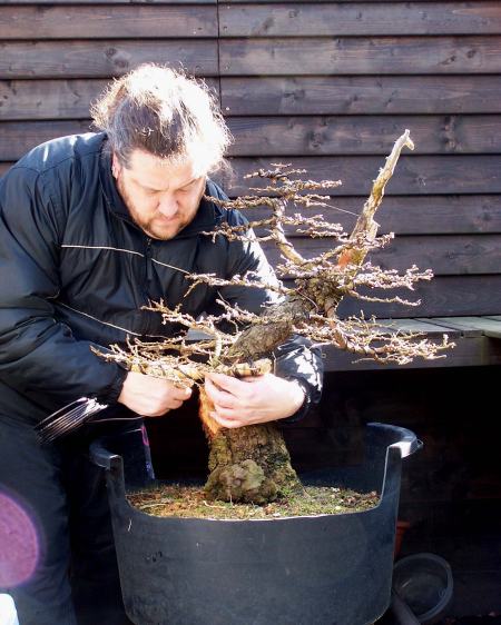 I know! I'm a tree hugger!