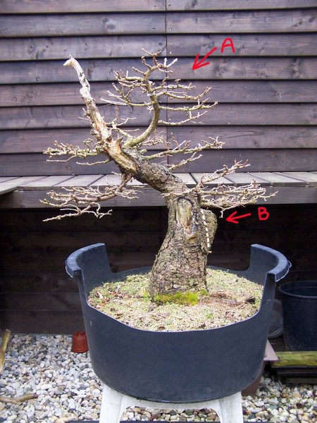 larix-zondag-23-februari-2009-012-web