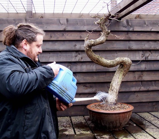 For now this "Dancer" has a new home, were it can grow into a beautiful lady! :)