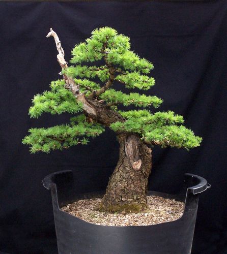 13-4-2009-xl-026-web