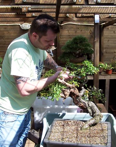 This second "Hawthorn" is styled for the first time. This one is going to be beautiful!