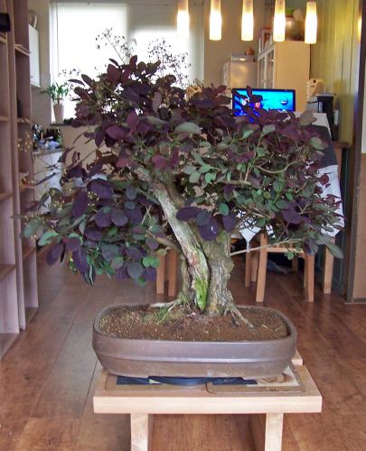 One cut, making all the differance!