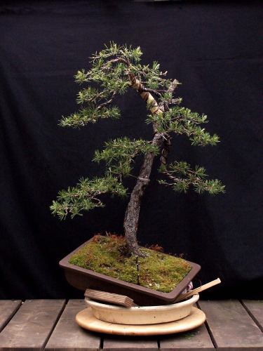 26-27-05-2009-077-hans-van-meer