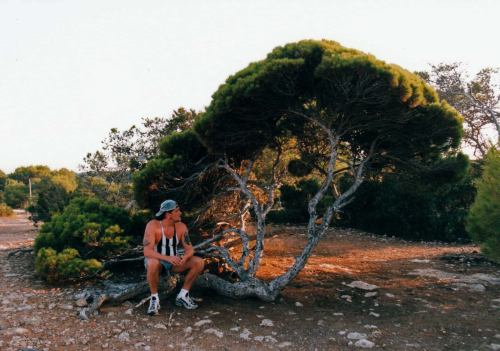 This picture was shot in '98 during my vacation on the beautiful iland Ibiza. This wonderful place is not only famous for the nightclubs and all night patying, the nature on this iland is unbelievable! especialy the "Junipers" that grow there are amazing. On the coast line I dicovered a spot were incredible old and contorted "Junipers" grow! Among them this old Pine kept watch! The temperatures are scortching here in Summer time and it hardle ever rains, so beside that this Pine is very beautyful it is also very special, to be able to grow here for such a long time! I also nottisted that I was in much better shape back then! :)