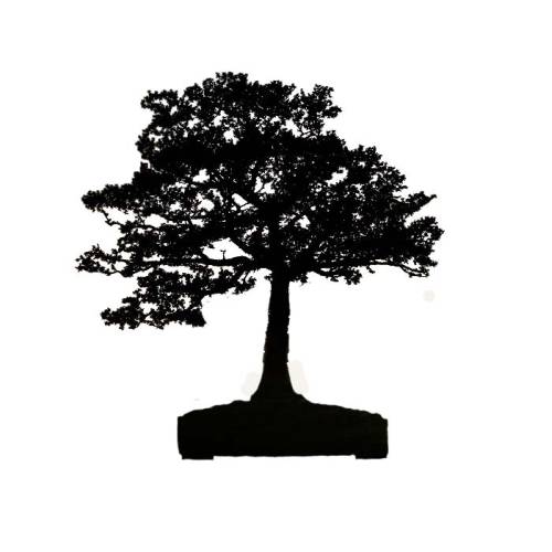 sil-3-hans-van-meer1