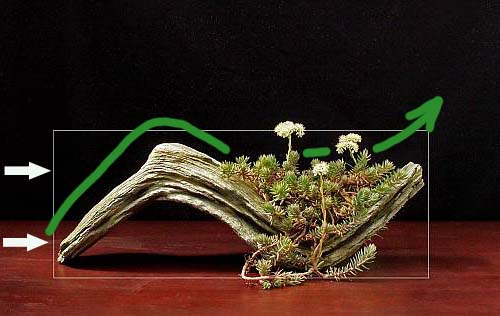 22-7-2009-040-hans-van-meer-11