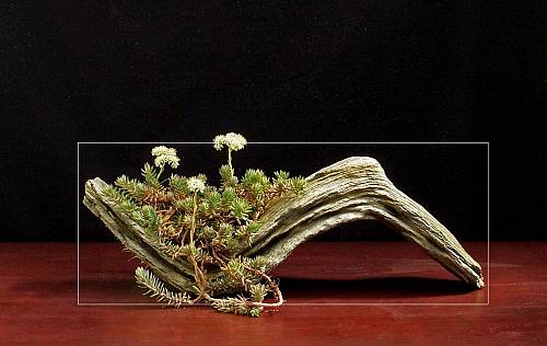 22-7-2009-040-hans-van-meer-21