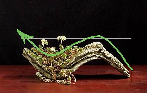 22-7-2009-040-hans-van-meer-5