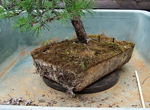 26-8-2009 010 hans van Meer