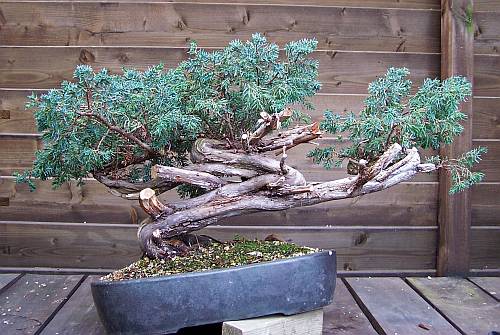 07-09-2009 2 085 Hans van Meer