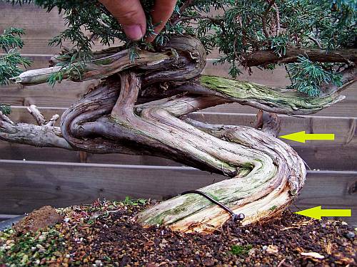 07-09-2009 2 095 Hans van Meer