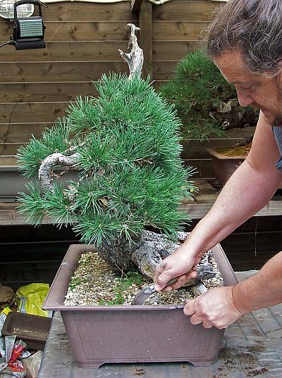 30-8-2009 verpot dag 129 Hans van Meer