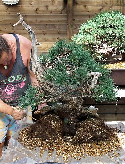 30-8-2009 verpot dag 148 Hans van Meer