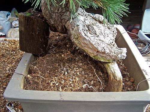 30-8-2009 verpot dag 153 Hans van Meer