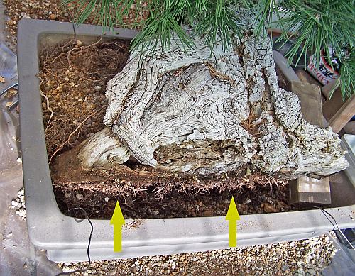 30-8-2009 verpot dag 154 Hans van Meer