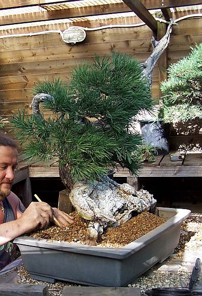 30-8-2009 verpot dag 160 Hans van Meer