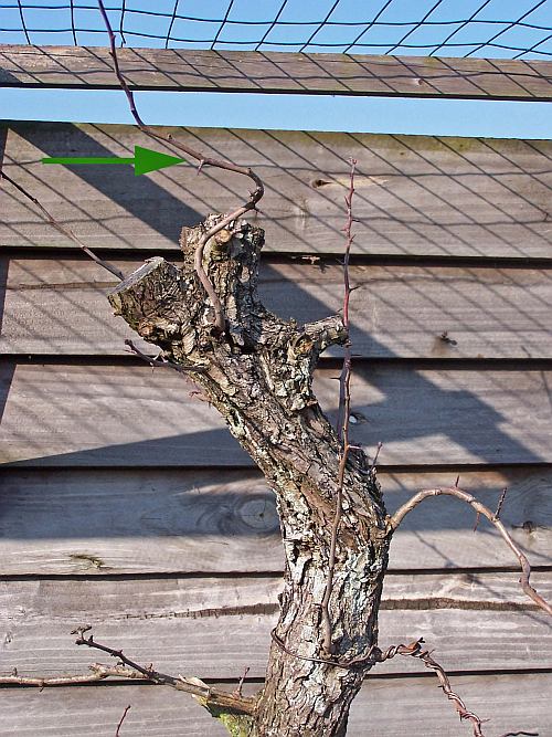 acdc 094 Hans van Meer