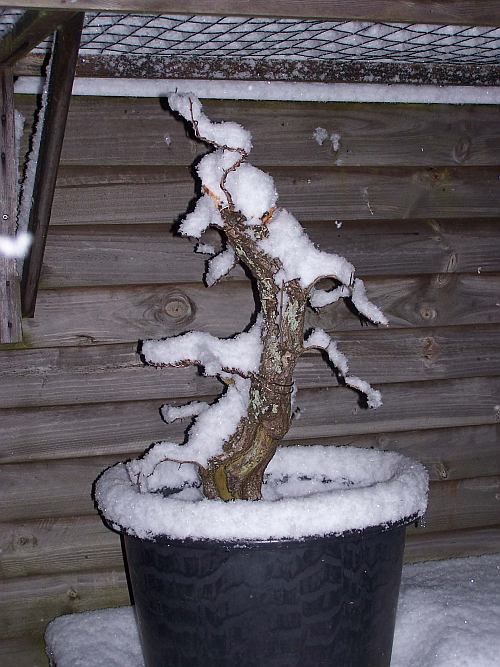 acdc 101 Hans van Meer