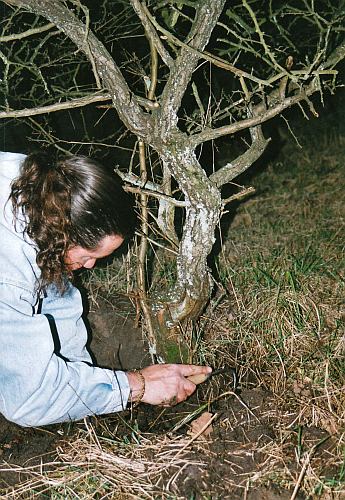 IMG_0002 Hans van Meer