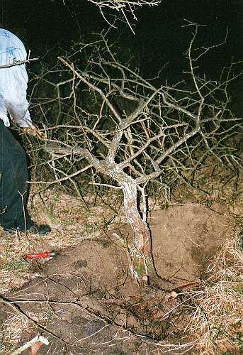 IMG_0003 Hans van Meer