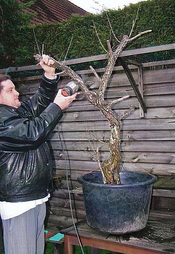 IMG_0007 Hans van Meer