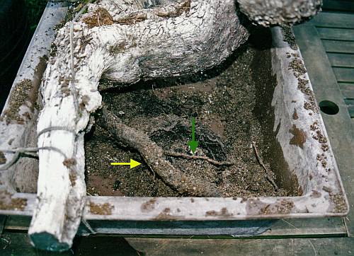 Pius 05-02_0002 Hans van Meer. virtual