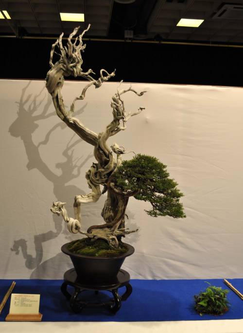 23-1-2010 Noelanders 046 Hans van Meer