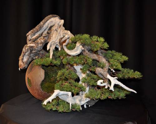 23-1-2010 Noelanders 070 Hans van Meer