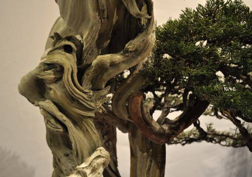 23-1-2010 Noelanders 083 Hans van Meer