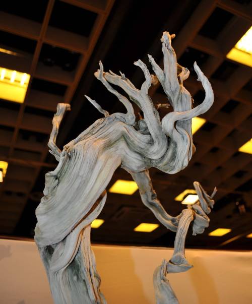  OLD TREEBEART AND HIS STICK!