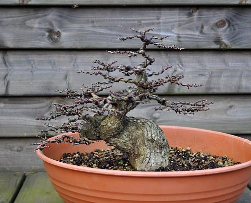 12-2-2010 104 Hans van Meer web