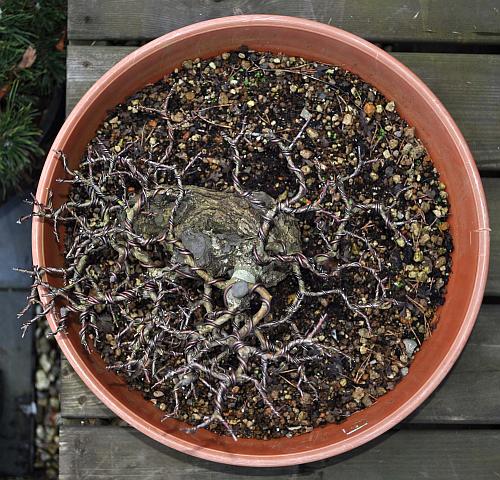 12-2-2010 119 Hans van Meer web