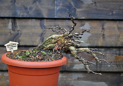 28-1-2001 041 Hans van Meer