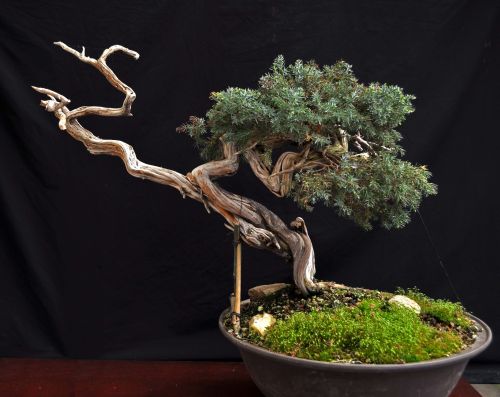 21-4-2010 040 Hans van Meer web