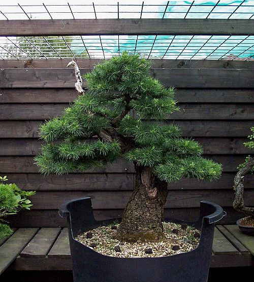 31-05-2009 001 Hans van Meer 2