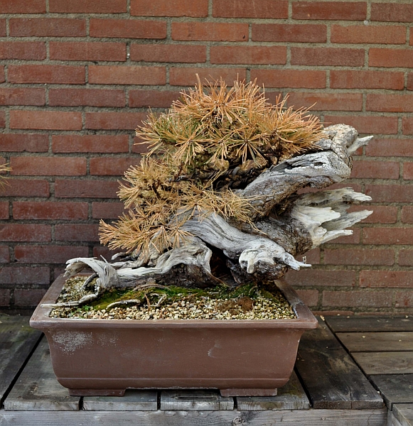 12-7-2010 006 Hans van Meer web