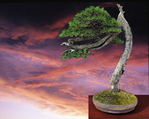 Picture by Kev Bailey and virtual by Ed van der Reek.