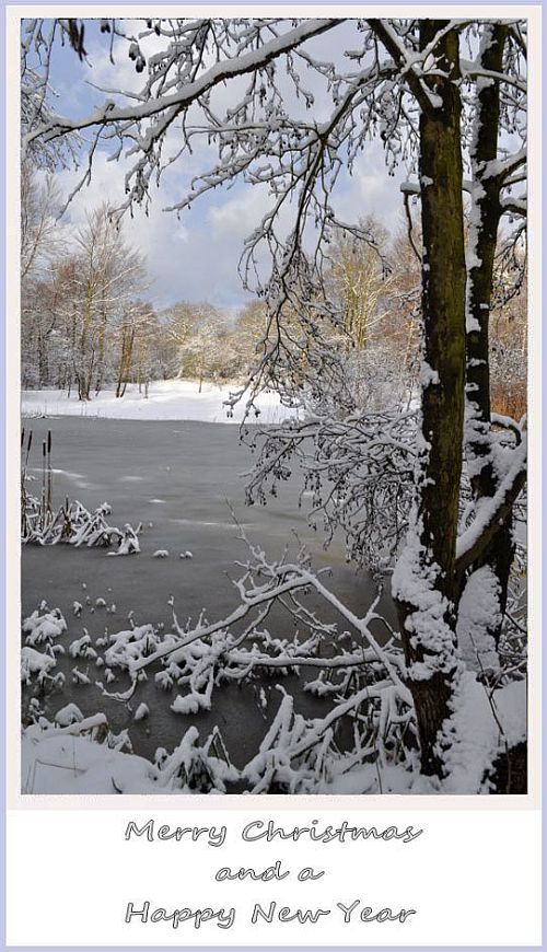 Kerst-2012 by Hans van Meer 500