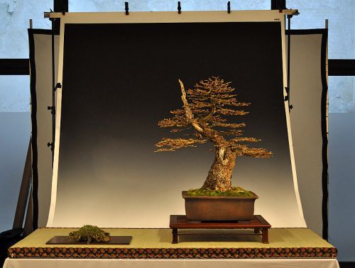 19-1-2013 Noelanders 2013 025 Hans van Meer 500