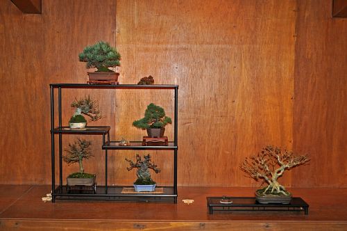 5-1-2013 TJ 030 Hans van Meer 500