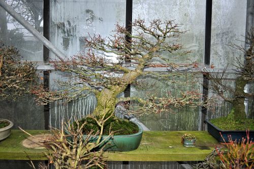 5-1-2013 TJ 038 Hans van Meer 500