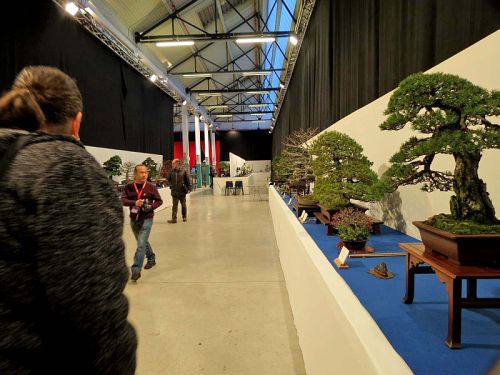 Noelanders Trophy 2013 024 Hans van Meer 500