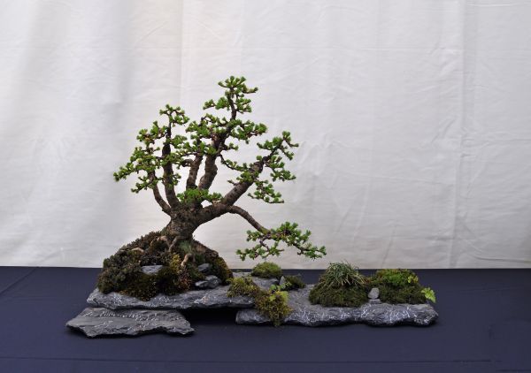 27-4-2013 Clingendael 2013 136 Hans van Meer 600